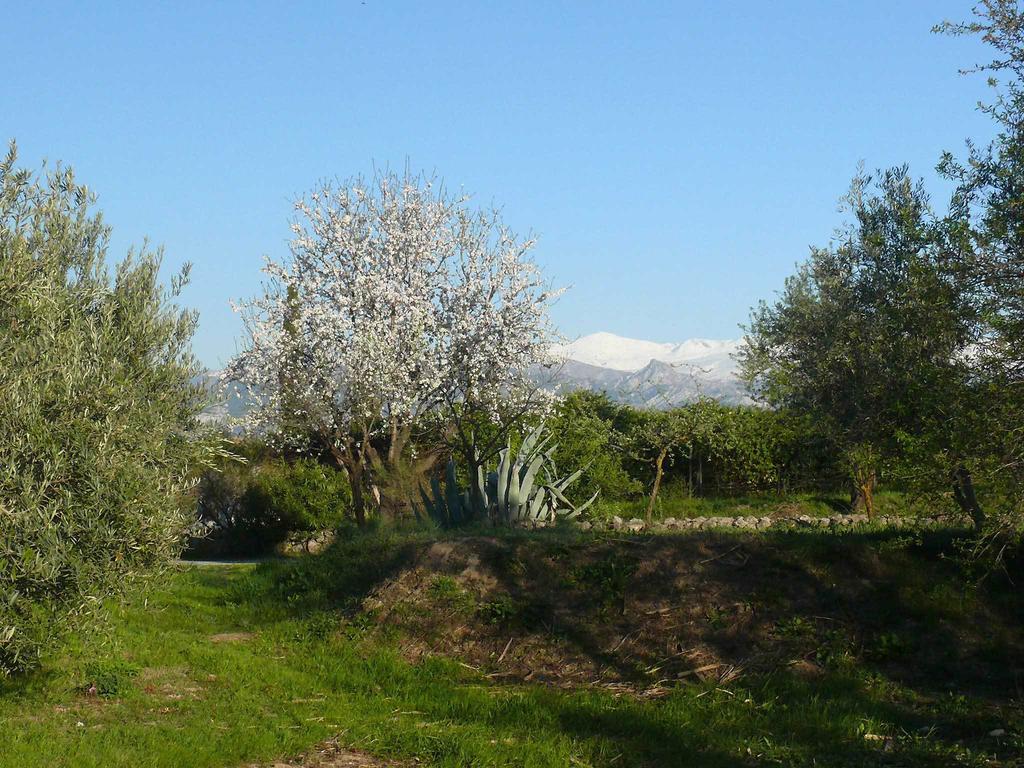 Cortijo Algabia Alhendín Exterior foto